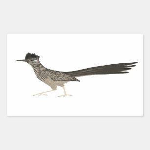 Pegatina Rectangular Dibujo de lápiz de color Roadrunner
