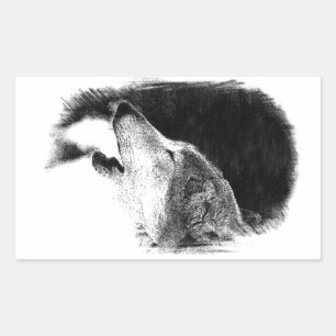 Pegatina Rectangular Dibujo de sketch de lobo gris negro y blanco