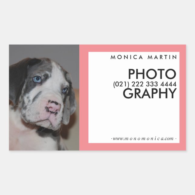 Pegatina Rectangular ¡Difunde tu marca! (Anverso)