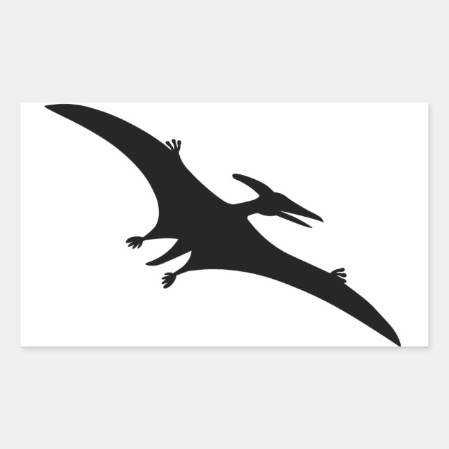 Pegatina Rectangular Dinosaurio pterodáctilo (Anverso)