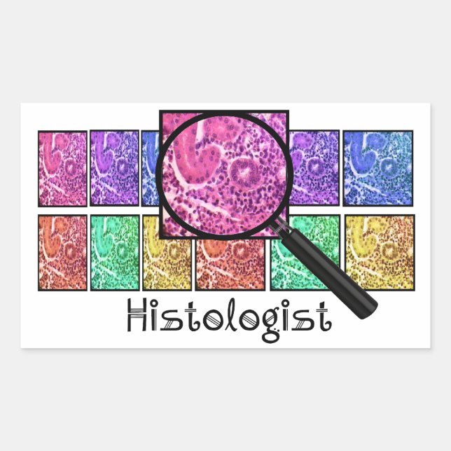 Pegatina Rectangular Diseño de células aumentadas por histólogo (Anverso)