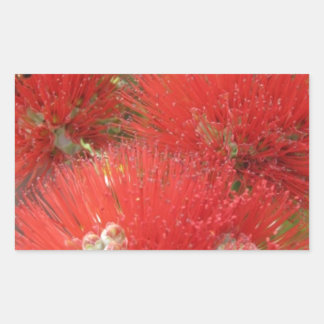Pegatina Rectangular Diseño de flores Ohia Lehua, nativo de Hawái