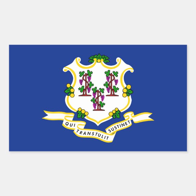 Pegatina Rectangular Diseño de la bandera de estado de conexión (Anverso)