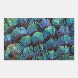 Pegatina Rectangular Diseño de pluma de faisán azul-verde
