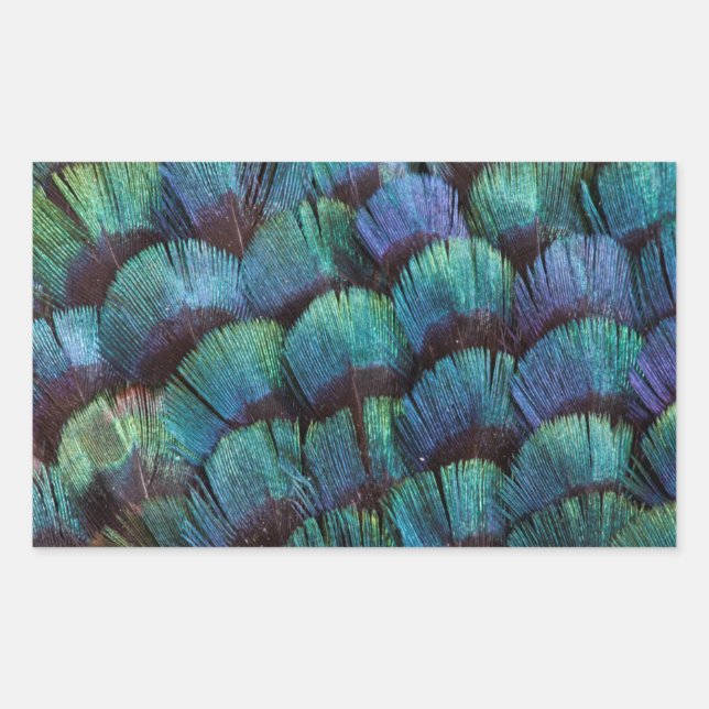 Pegatina Rectangular Diseño de pluma de faisán azul-verde (Anverso)