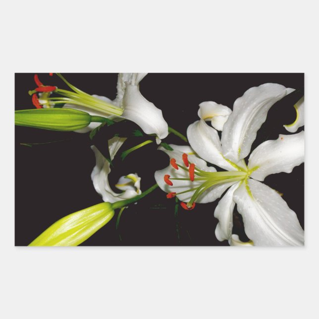 Pegatina Rectangular Diseño irlandés - Colección de bronce y flores (Anverso)