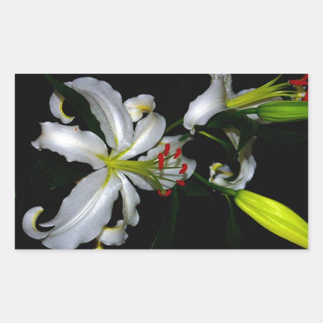 Pegatina Rectangular Diseño irlandés de Brass y Flores (Anverso)