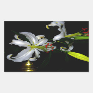 Pegatina Rectangular Diseño irlandés de Brass y Flores