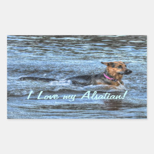 Pegatina Rectangular Diseños de perros para amantes del Mascota