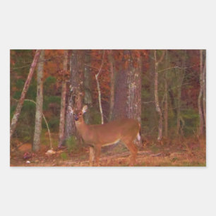 Pegatina Rectangular Doe a Deer in Lake Arrowhead