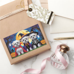 Pegatina Rectangular Dogs malteses Calabaza Halloween Divertido