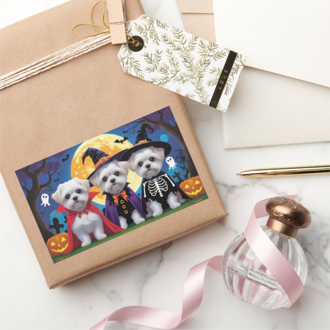 Pegatina Rectangular Dogs malteses Calabaza Halloween Divertido (Regalar)