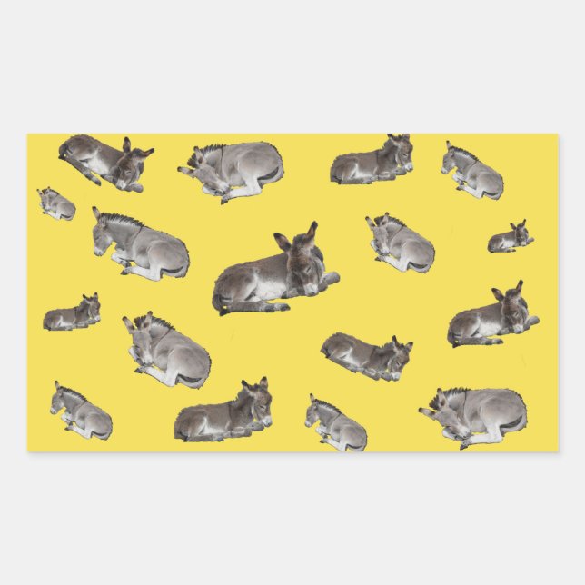 Pegatina Rectangular Donkey Multi (Anverso)