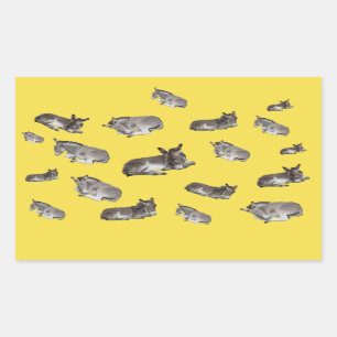 Pegatina Rectangular Donkey Multi