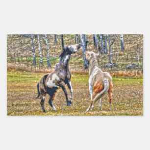Pegatina Rectangular Dos juguetones Pinto Paint Horses Equine Art Desig