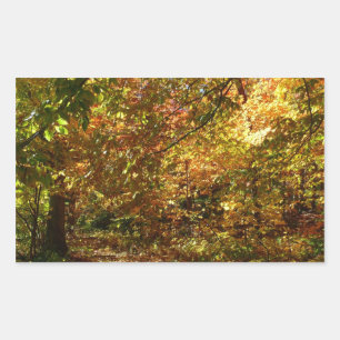 Pegatina Rectangular Dosel de Hojas de Otoño II Fotografía de Otoño Ama