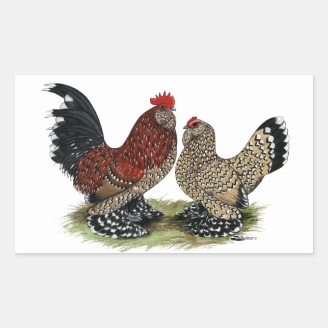 Pegatina Rectangular D'Uccle Bantams: Mille Fleur (Anverso)