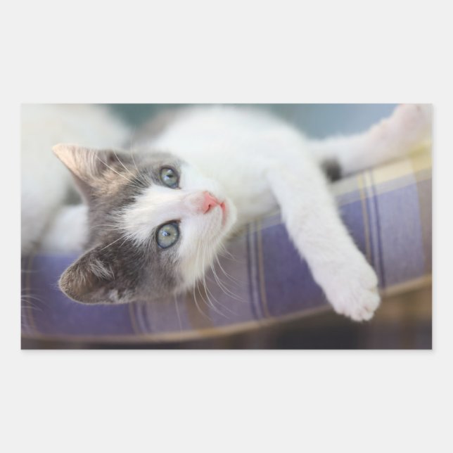 Pegatina Rectangular Dulce Gitano En Cama De Hierro (Anverso)