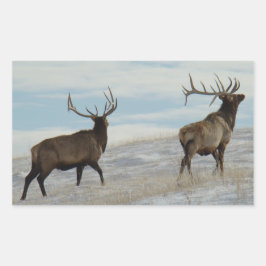 Pegatina Rectangular E57 Bull Elk Lucky 13 Bull