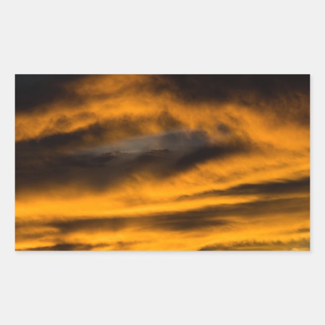 Pegatina Rectangular eagle burnout (Anverso)