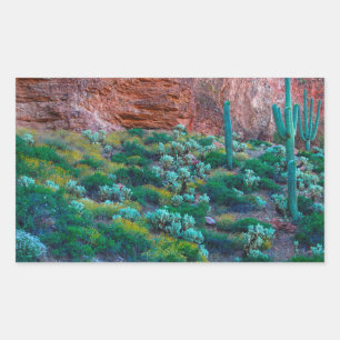 Pegatina Rectangular EE. UU., Arizona. Flora del desierto