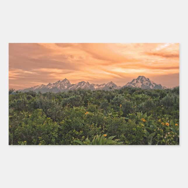 Pegatina Rectangular EE. UU., Wyoming, Parque Nacional Grand Teton 1 (Anverso)