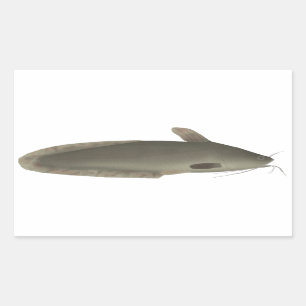 Pegatina Rectangular Eeltail Catfish