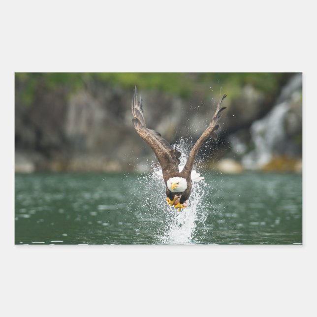 Pegatina Rectangular El águila calva es el gran golpe (Anverso)