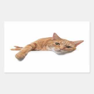 Pegatina Rectangular El gato del naranja está tumbado