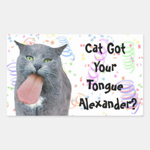 Pegatina Rectangular ¿El Gato fiesta Tiene Su Lengua?