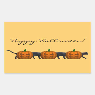 Pegatina Rectangular El gato más largo del mundo