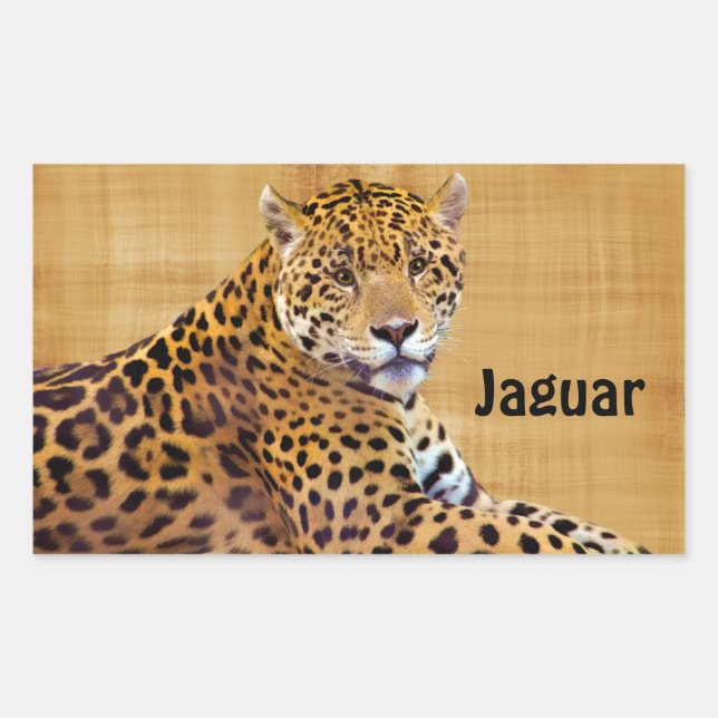 Pegatina Rectangular El gran amante del gato de Jaguar visto #Gift (Anverso)