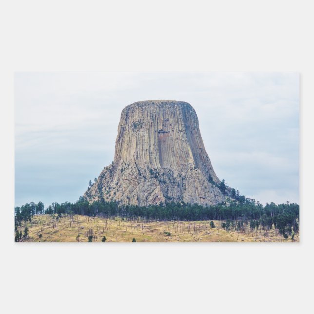 Pegatina Rectangular El hogar de un oso (Anverso)