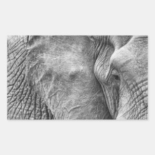 Pegatina Rectangular El ojo de un elefante