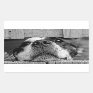 Pegatina Rectangular El perro divertido ahora que se pega debajo de la