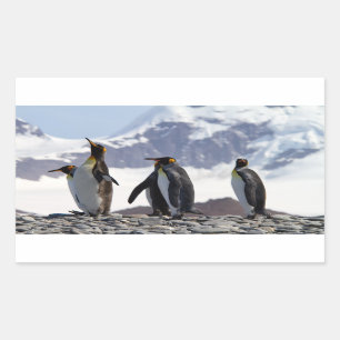 Pegatina Rectangular El rey Pingüinos en Georgia del Sur