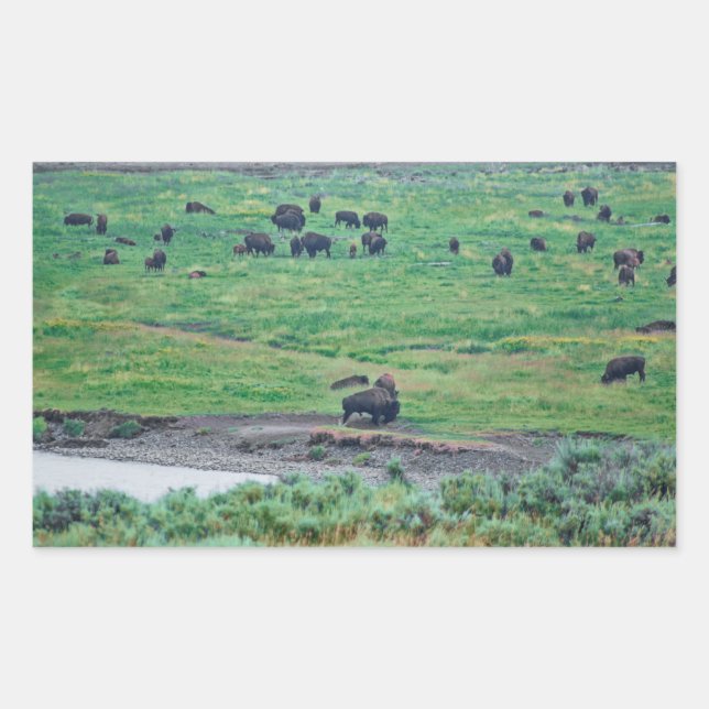 Pegatina Rectangular El veneno estadounidense (Anverso)