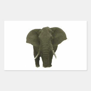 Pegatina Rectangular Elefante Africano
