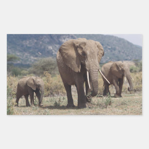 Pegatina Rectangular Elefante madre caminando con cría de elefante