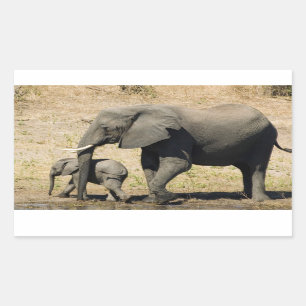 Pegatina Rectangular Elefante y madre del bebé