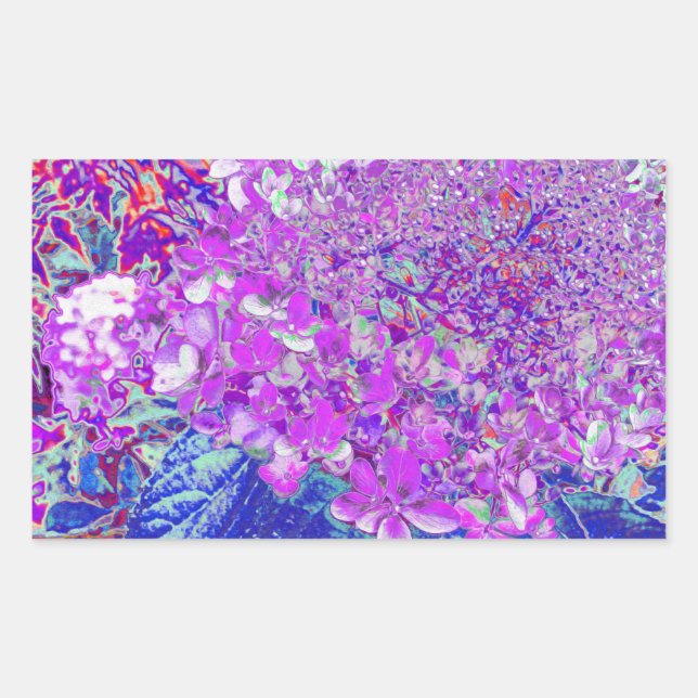 Pegatina Rectangular Elegante Hortensia Limelight Púrpura y Azul (Anverso)