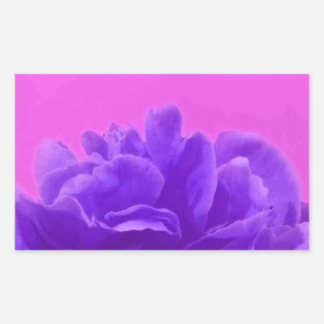 Pegatina Rectangular Elegante morado frambuesa floral (Anverso)