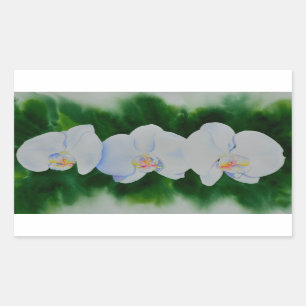 Pegatina Rectangular Elegante pintura de orquídeas de color blanco trop
