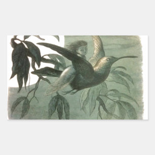 Pegatina Rectangular Elf Fairies Elves Moon Night Scene Bird Flying