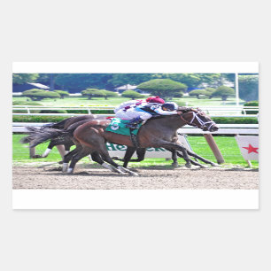 Pegatina Rectangular Emplumado por el Charlie-Recibo indio