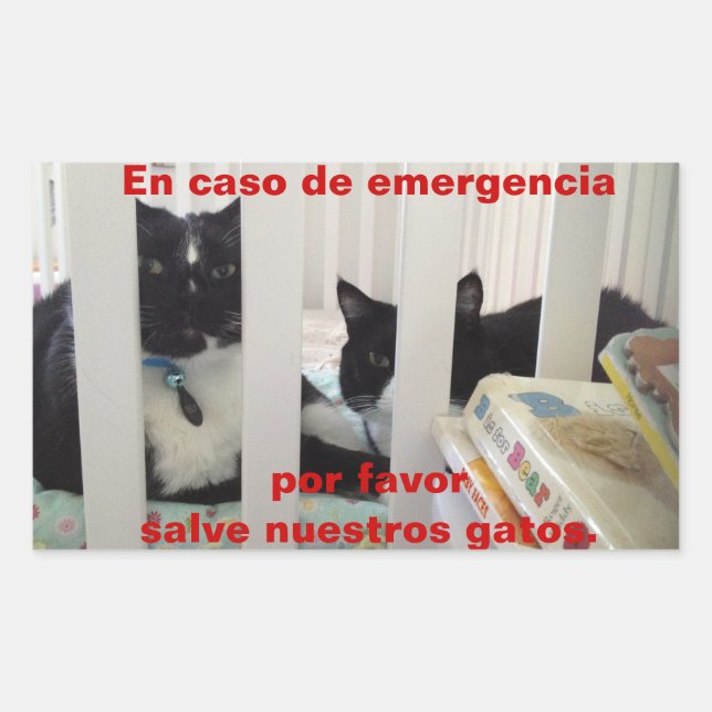 Pegatina Rectangular En caso de urgencia ahorre nuestro gato (Anverso)