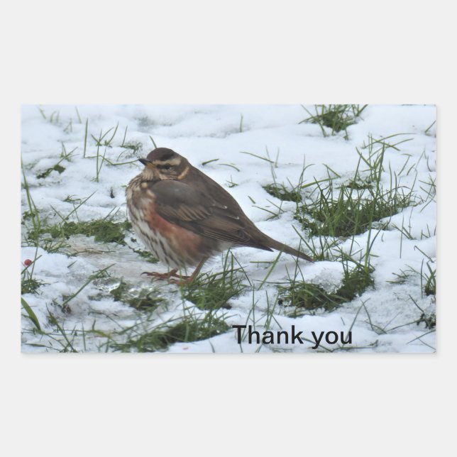 Pegatina Rectangular Enrojecimiento (Anverso)