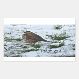 Pegatina Rectangular Enrojecimiento