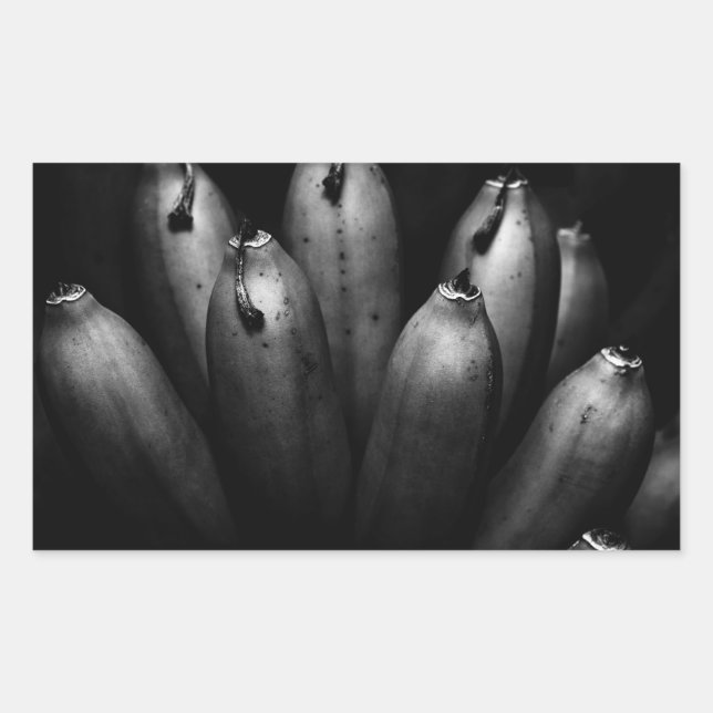 Pegatina Rectangular entretenido grupo (Anverso)