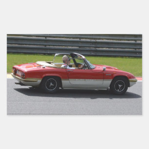 Pegatina Rectangular Equipo Gold Leaf Lotus Elan
